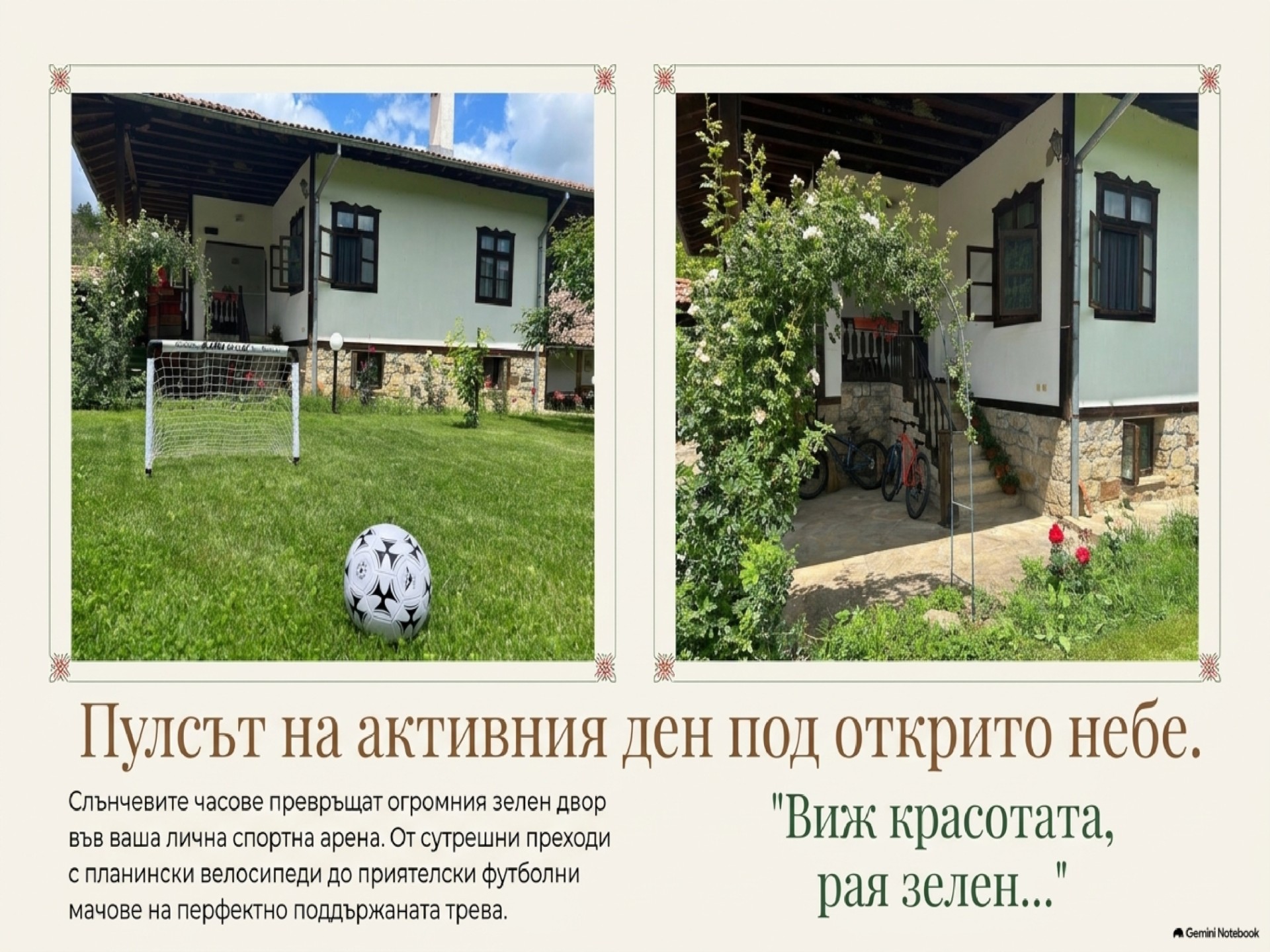 IMG-GALLERY
